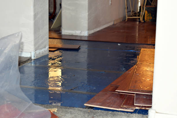 Professional Water Damage Restoration technician working in Harmony, NC